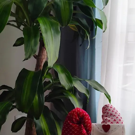 Centro- Parking Gratuito Lägenhet *